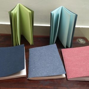 Mini Notebooks